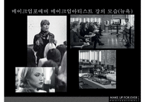 메이크업 포에버 MAKE UP FOR EVER [LVMH의 색조전문 화장품 메이크업포에버 마케팅전략]-15