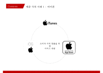 캐즘 마케팅사례[Chasm Marketing Case]-11
