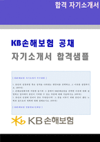 (KB손해보험 자기소개서 - 공채합격서류) KB손해보험 공채/영업관리직 자기소개서 샘플 [KB손해보험 자소서/KB손해보험 자기소개서/첨삭항목]-1