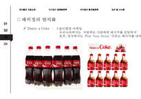 코카콜라의 글로벌 경영전략 분석[Global Business Strategy of Coca-cola]-19