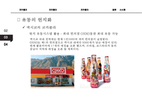 코카콜라의 글로벌 경영전략 분석[Global Business Strategy of Coca-cola]-20