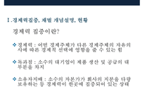 한국 경제력집중 문제[재벌의 경제독점 심화 방지]-4