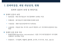한국 경제력집중 문제[재벌의 경제독점 심화 방지]-5