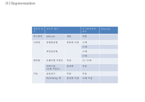 [아디다스 마케팅사례 PPT] ADIDAS 아디다스 기업현황과 마케팅 SWOT,STP,4P전략분석및 아디다스 위기와 대응사례-17