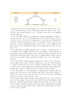 새마을금고의 발전전략 ; 새마을금고의 특징과 경영전략 분석-5