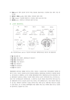 꽃의 구조와 발달-2
