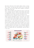 신라면 제품분석과 성공전략분석/ 신라면 마케팅 SWOT,STP,4P전략분석/ 신라면 글로벌전략 사례/ 신라면 새로운 마케팅전략 제안-17
