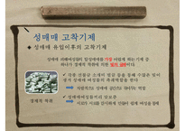 (성매매 대책방안) “여성과 성매매” - 성매매 유형, 성매매 원인, 성매매 현황, 성매매 여성의 문제, 성매매 특별법-15