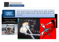 [낙태의 심각성과 해결책] 낙태의 실태와 찬반 논쟁 및 낙태 해결방안-13