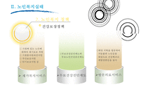 [노인복지 모든 것] 노인의 특성, 노인복지 필요성, 노인복지시설 현황, 노인복지시설 이용현황, 노인복지 정책 분석, 노인복지 재정분석, 노인복지 재정, 노인복지 예산, 노인복지 전망, 노인복지 사례 분석-8