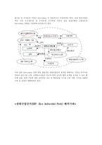[도시개발 계획] CITY 이론을 적용한 청주생태산업단지 조성방안 도시 개발-6