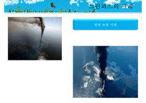 [NGO기관] NGO기관 그린피스 연혁 greenpeace 사업분석 greenpeace 분석 기관 분석-6