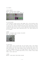 미술치료와 사회복지 실천현장 및 사회복지 가치관의 연관성, 미술치료 효과, 미술치료 기관 방문-11