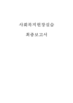 [사회복지현장 실습보고서]서울 사회복지법인 다일복지재단 현장 실습 보고서(기관소개, 사업소개, 감상 및 전망)-1
