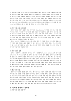 [인터넷 방송 개선방안] 인터넷 방송의 개념 인터넷 방송 특징 인터넷 방송 유형-9