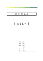 [전통결혼 분석] 전통혼례의 절차와 종류 전통혼례 방법 및 전통 혼례에 대한 나의 견해-1