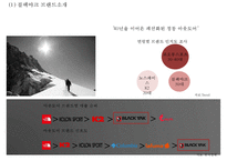 블랙야크 브랜드현황분석과 블랙야크 마케팅 SWOT,STP,4P전략분석및 블랙야크 향후시사점 PPT-4