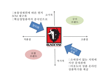 블랙야크 브랜드현황분석과 블랙야크 마케팅 SWOT,STP,4P전략분석및 블랙야크 향후시사점 PPT-11
