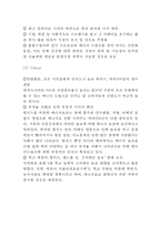 핫식스 제품분석/ 핫식스 마케팅전략분석/ 핫식스 새로운 마케팅전략 제안-8