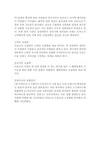 K2 브랜드분석과 SWOT분석및 K2 마케팅 사례분석과 향후전략제안-5