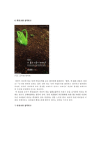 공익광고의 개요, 공익광고 사례 분석-12