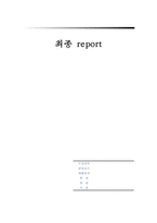 [맞벌이 부부 심각성과 해결방안] 맞벌이 부부 - 맞벌이 부부 개념, 맞벌이 부부 배경, 맞벌이 부부 종류, 맞벌이 부부 문제점과 해결방안-1