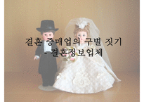 [결혼정보업체, 결혼중개업체의 실태와 심각성 및 해결방안] 결혼정보업체의 개념, 결혼정보업체 역사, 결혼 중개업 문제점 및 해결방안-1