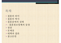 [결혼정보업체, 결혼중개업체의 실태와 심각성 및 해결방안] 결혼정보업체의 개념, 결혼정보업체 역사, 결혼 중개업 문제점 및 해결방안-2
