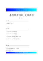[소프트웨어의 불법복제] 소프트웨어의 불법복제 현황, 소프트웨어의 불법복제 문제점, 소프트웨어의 불법복제 피해, 심각성, 소프트웨어의 불법복제 해결방안-1