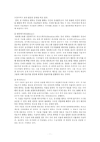 [인터넷 방송 개선방안] 인터넷 방송의 개념, 인터넷 방송 특징, 인터넷 방송 유형, 인터넷 방송 문제점 및 개선방안-5