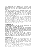 [인터넷 방송 개선방안] 인터넷 방송의 개념, 인터넷 방송 특징, 인터넷 방송 유형, 인터넷 방송 문제점 및 개선방안-10