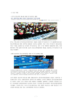 [정보복지] 정보복지 개념, 정보복지 특징, 정보복지 사례, 정보복지 문제점, 정보복지 개선방안-7