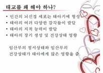 [태교에 대하여] 태교의 중요성과 태교의 종류-5