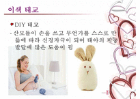 [태교에 대하여] 태교의 중요성과 태교의 종류-12