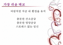 [태교에 대하여] 태교의 중요성과 태교의 종류-15