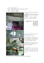 [가정폭력 해결방안] 가정폭력의 원인과 특징 및 자녀에게 미치는 영향, 가정폭력 사례, 가정폭력 해결방안-11