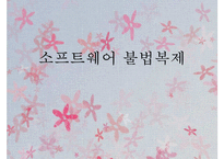 [불법복제][소프트웨어 불법복제][소프트웨어 복제 심각성]소프트웨어 불법복제 유형, 심각성, 소프트웨어 불법복제 해결방안-1