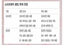 [불법복제][소프트웨어 불법복제][소프트웨어 복제 심각성]소프트웨어 불법복제 유형, 심각성, 소프트웨어 불법복제 해결방안-5