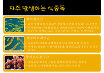 [식중독 food poisoning] 식중독 개념, 식중독 분류, 식중독 발생 현황, 식중독 예방, 식중독 예방법-7