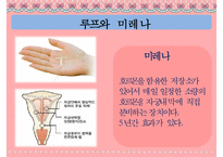[피임] 피임, 피임 필요성, 피임 종류, 피임 도구, 피임 종류, 피임 성공률, 피임약 오남용 문제점, 피임 방법-10