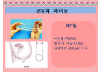 [피임] 피임, 피임 필요성, 피임 종류, 피임 도구, 피임 종류, 피임 성공률, 피임약 오남용 문제점, 피임 방법-12