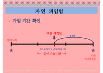 [피임] 피임, 피임 필요성, 피임 종류, 피임 도구, 피임 종류, 피임 성공률, 피임약 오남용 문제점, 피임 방법-15