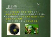 [Solution Focused Therapy] 문제해결치료 과정, 문제해결치료 방법, 문제해결치료 공헌점, 문제해결치료 제한점, 인간관-12