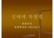 [PPT](성매매특별법 정책 분석) 정책의 형성 과정, 정책의 집행, 정책 평가, 정책 견해-1