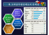 고위공무원단제도 분석, 고위공무원단제도 내용, 고위공무원단제도 문제점, 고위공무원단제도 외국 사례, 고위공무원단제도 전망-19