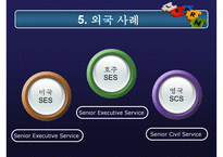 고위공무원단제도 분석, 고위공무원단제도 내용, 고위공무원단제도 문제점, 고위공무원단제도 외국 사례, 고위공무원단제도 전망-20