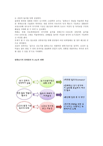 친환경 도시(N City) 만들기 프로젝트(친환경 도시 만들기, N City의 방향, N-City 만들기, N City 사례)-10