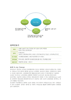 친환경 도시(N City) 만들기 프로젝트(친환경 도시 만들기, N City의 방향, N-City 만들기, N City 사례)-11