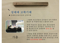 (성매매 대책방안) 성매매 유형, 성매매 원인, 성매매 현황, 성매매 여성의 문제, 성매매 특별법, 성매매 대책방안 ok-13