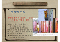 (성매매 대책방안) 성매매 유형, 성매매 원인, 성매매 현황, 성매매 여성의 문제, 성매매 특별법, 성매매 대책방안 ok-18